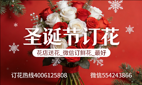哈尔滨巴彦县花店送花_微信订鲜花_圣诞节订花_最好? 哈尔滨巴彦县花店