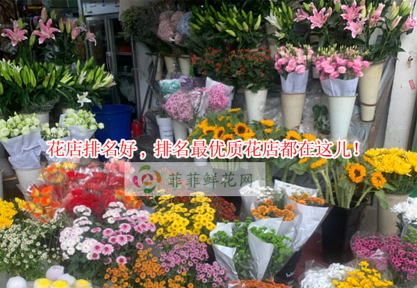 哈尔滨巴彦县花店排名,哈尔滨巴彦县最优质花店都在这儿!